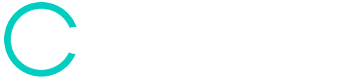 Texas IT Consultancy