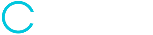 Texas IT Consultancy